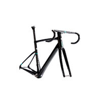 Chapter2 TOA Disc Frameset - Tuhua