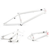 Leaf Cycles Reflex BMX Frame - White